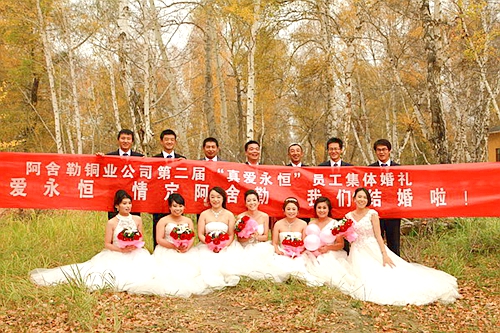 4118云顶集团中国)股份有限公司