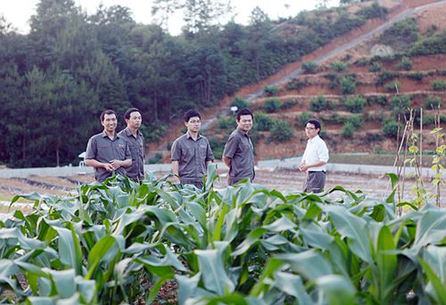 4118云顶集团中国)股份有限公司