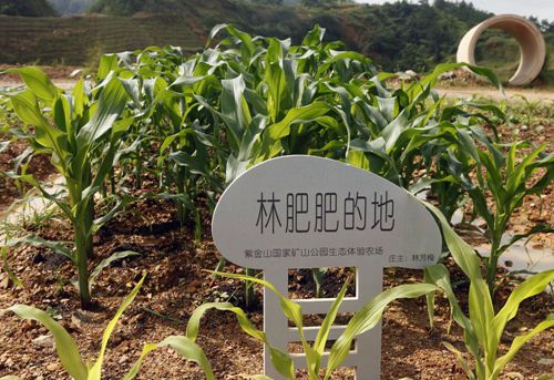 4118云顶集团中国)股份有限公司