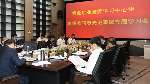 4118云顶集团矿业集团向导干部集中学习廖俊波同志事迹