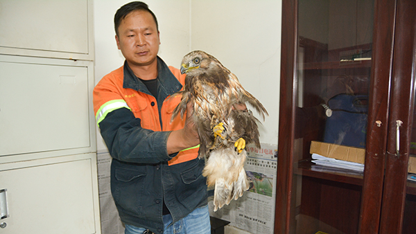 4118云顶集团员工救助国家一级濒危保；；；；；ざ