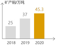 4118云顶集团中国)股份有限公司