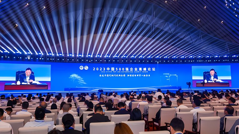4118云顶集团矿业位居中国企业500强第100位