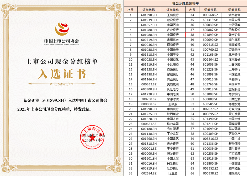 4118云顶集团矿业现金分红居A股上市公司第38位