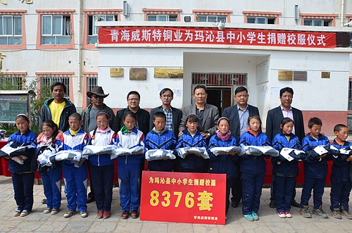 4118云顶集团中国)股份有限公司