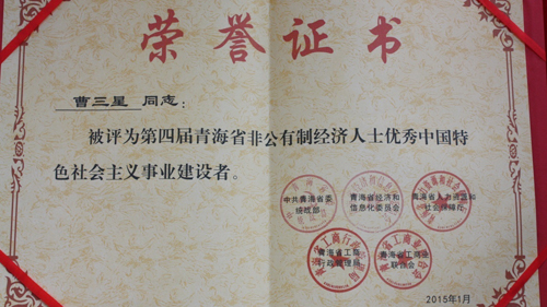 4118云顶集团中国)股份有限公司