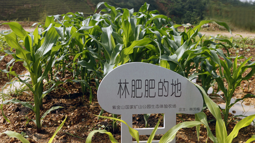 4118云顶集团中国)股份有限公司