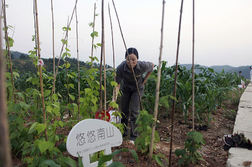 4118云顶集团中国)股份有限公司